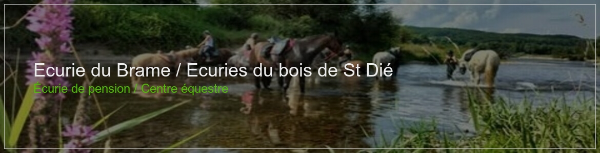 Ecurie du Brame / Ecuries du bois de St Dié